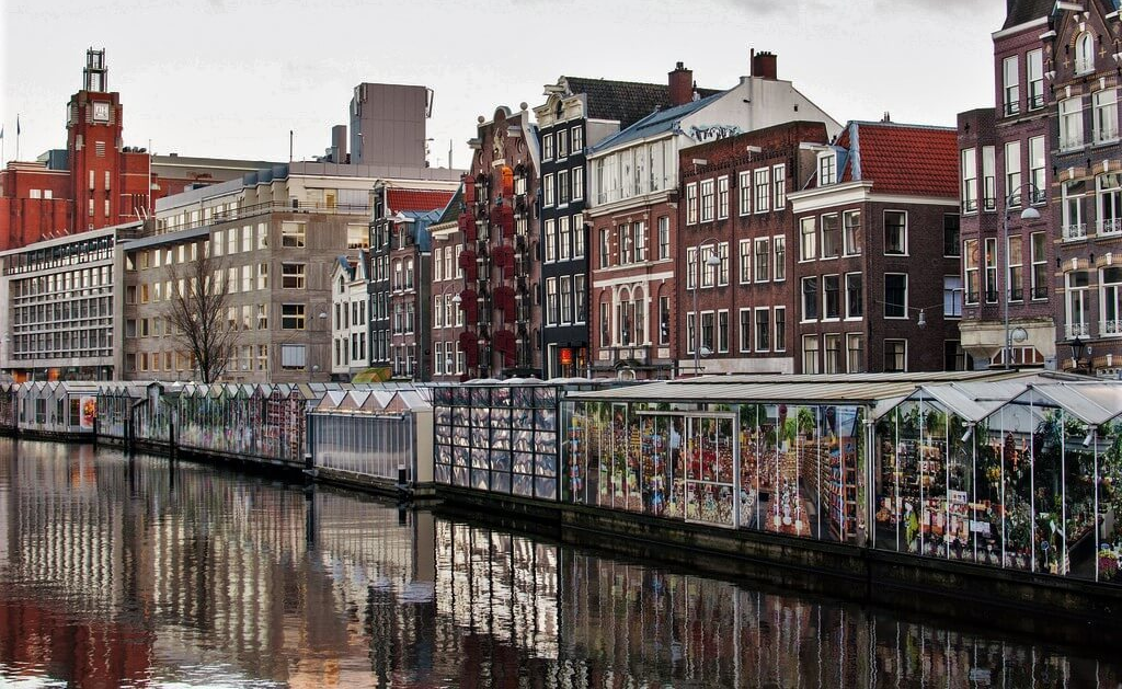 бесплатные развлечения в Амстердаме рынок цветов