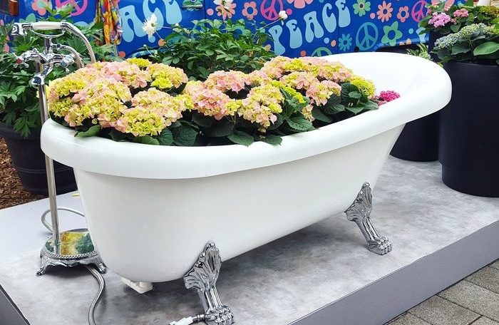 кекенхоф 2019 ванна с цветами