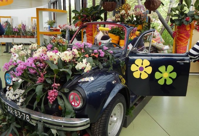 кекенхоф 2019 машина с цветами