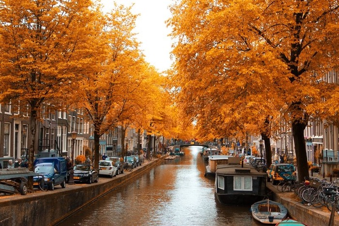 голландия осенью каналы амстердама