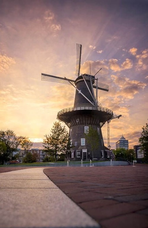 голландские мельницы De Valk
