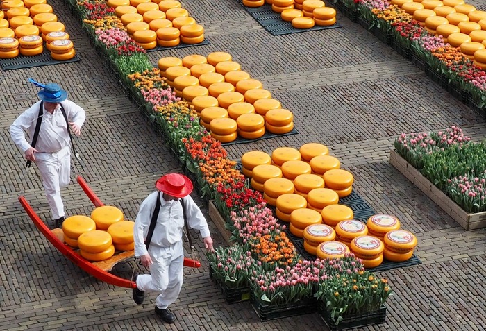 сырные рынки Нидерланды